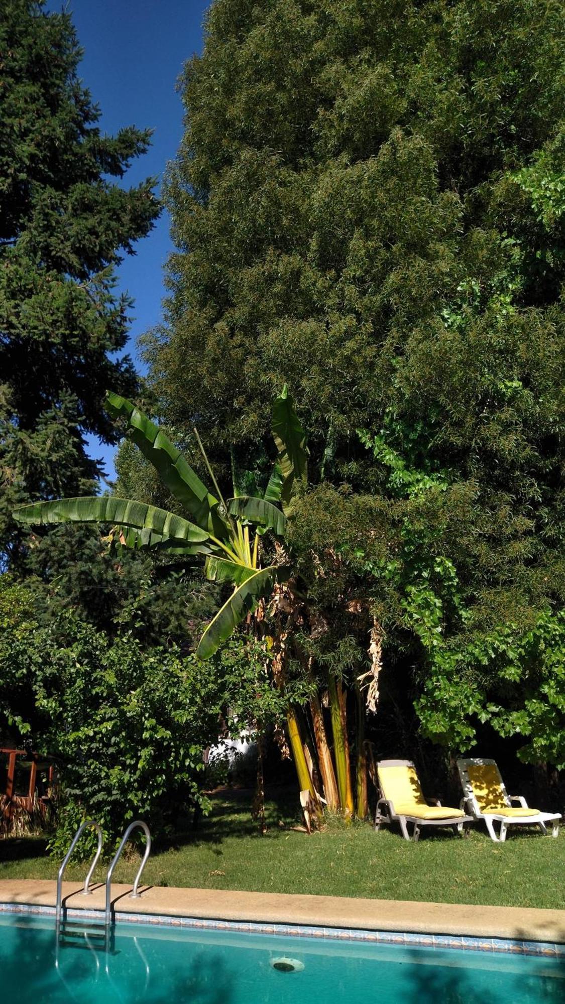 La Casa De Adobe Natural Y Mas Bulnes Eksteriør bilde